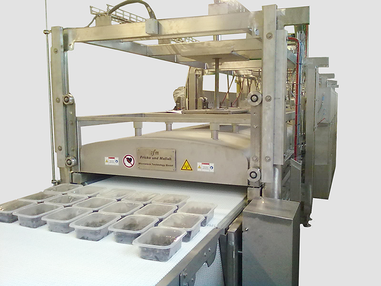Modular microwave tunnel for homogeneous pasteurisation of packed mussels